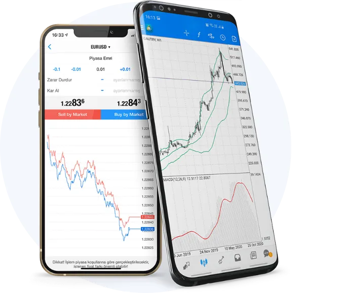 Nest Financial metatrader